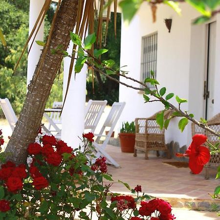 Willa Casa El Soto Vejer de la Frontera Zewnętrze zdjęcie